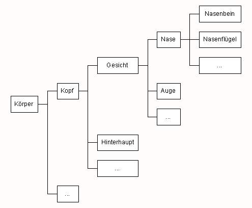 Meronymie: menschlicher Körper